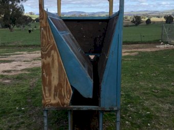 Goat Sheep Deer crush