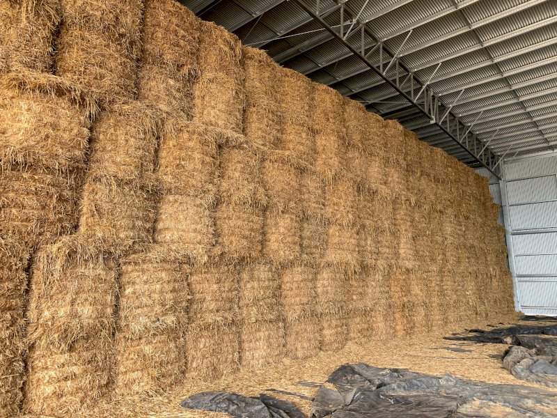 Oaten Hay 8x4x3 Bales