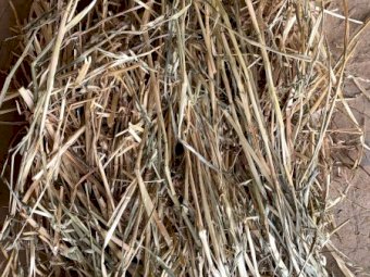 Oaten Hay 8x4x3 Bales