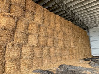 Oaten Hay 8x4x3 Bales