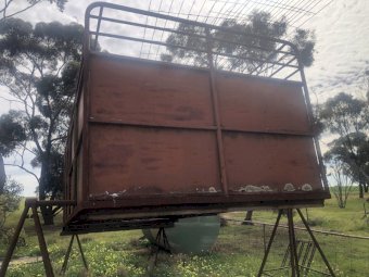 Cattle & Sheep Stock Crate