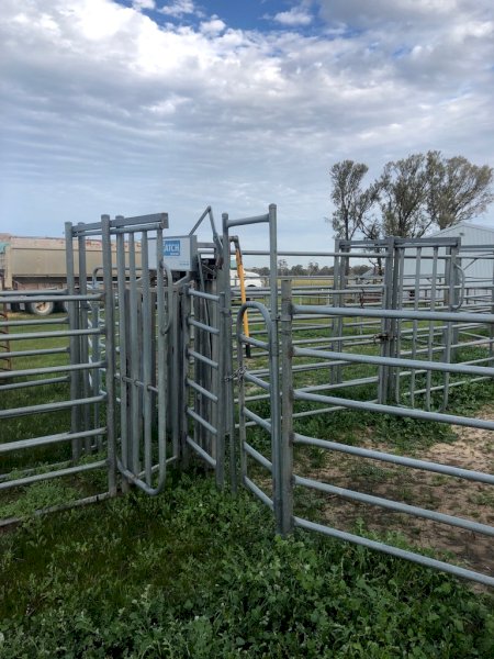 Arrow Farmquip Q- Catch Cattle Yards