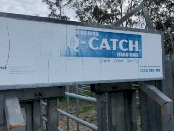 Arrow Farmquip Q- Catch Cattle Yards