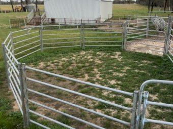 Arrow Farmquip Q- Catch Cattle Yards