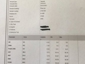 Oaten Hay 8x4x3 Bales