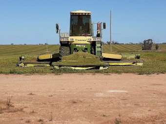 Krone Big M II Mower conditioner