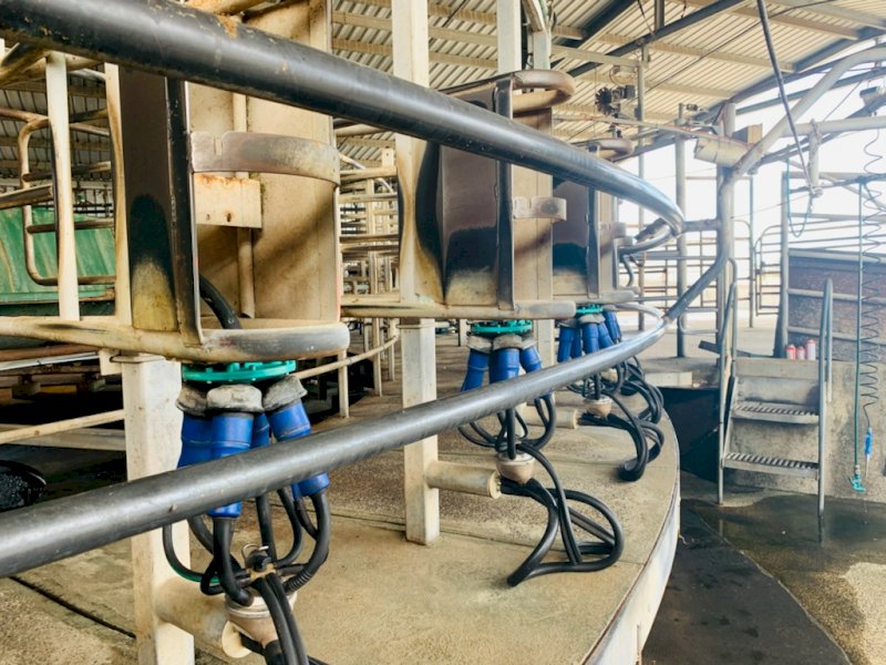 50 Stand Yarroweyah Rotary Dairy "Offers"