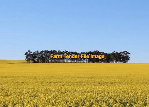 Grazing and dry land cropping, Land Lease 5 + 5, 28 Feb start, 6500 acres @ $15 per acre, near Mildura.