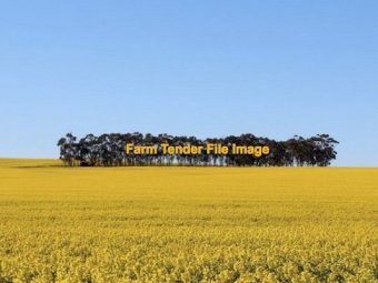 Grazing and dry land cropping, Land Lease 5 + 5, 28 Feb start, 6500 acres @ $15 per acre, near Mildura.