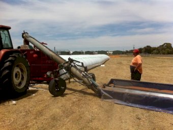 Rhino Farm Storage Bag 9ft x 75m x 250 Um Pro - 7 Layers