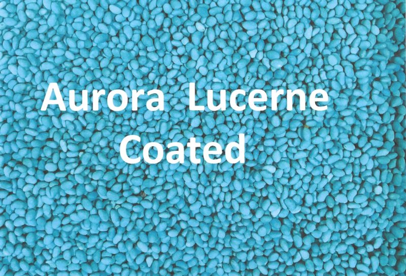 Aurora Lucerne Coated