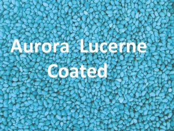 Aurora Lucerne Coated
