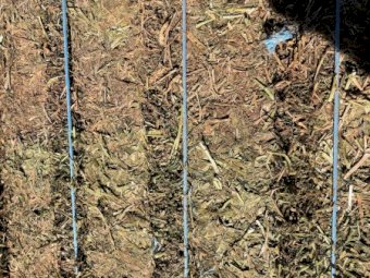 200mt Vetch Hay 650-700kg 8x4x3 Bales (New Season 21/22)