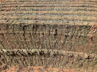 200mt Vetch Hay 650-700kg 8x4x3 Bales (New Season 21/22)