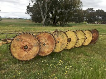 Bamford 7 wheel Rake