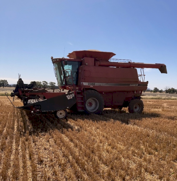 2000 Case IH 2388 Header with 36ft Draper Front