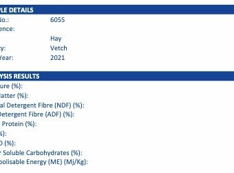 185mt Vetch Hay 600-640kg 8x4x3 Bales (New Season 21/22) - Feed Tested