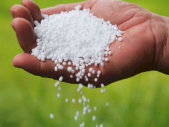 **Price Update** Urea Ex Brisbane