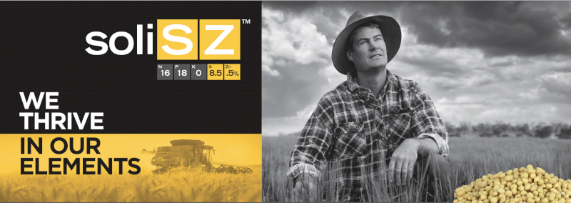 SoliSZ ex Wengfu Portland - 28mt available