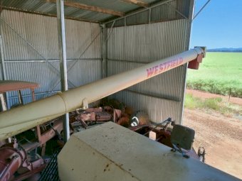 Westfield 10 in  60 ft Swing away Auger