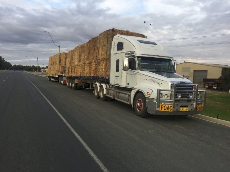 2009 Freightliner Century 120 Prime Mover