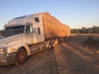 2009 Freightliner Century 120 Prime Mover