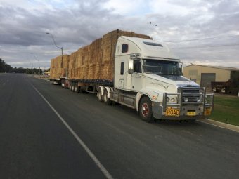 2009 Freightliner Century 120 Prime Mover