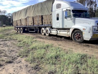 2009 Freightliner Century 120 Prime Mover