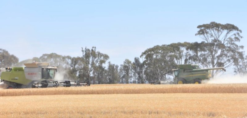 WANTED Harvest work  Victoria