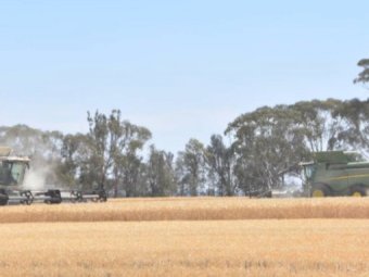WANTED Harvest work  Victoria