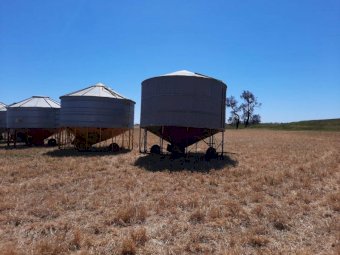 20t McKenzie Field Bin