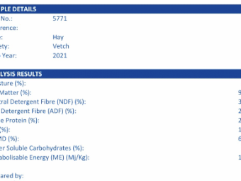 50mt Vetch Hay 8x4x3 Bales (New Season 21/22)