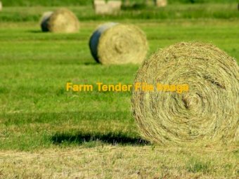 Rhodes Hay Rounds