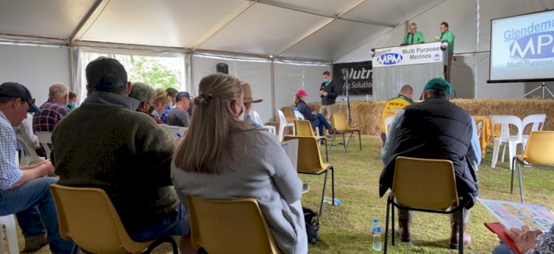 Test Listing - For Glendemar MPM Ram Catalogue