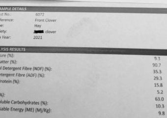 100mt Clover Hay 5x4 Rolls