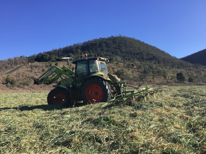 2013 Class Volto 420 Tedder Rake