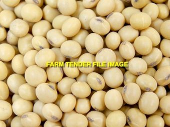 40mt Soy Beans (21/22 Season)