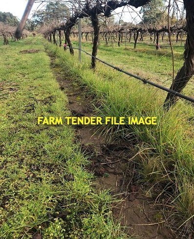 WANTED Vineyard Under Vine Weeder
