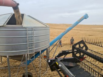 Campbell 25mt PTO Field Bin