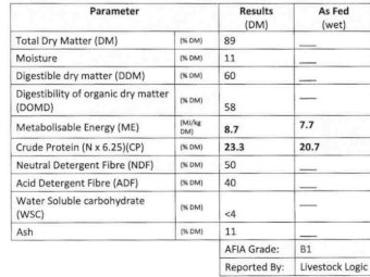 New Season Vetch Hay 8x4x3 Bales
