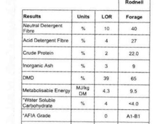 OLD SEASON VETCH HAY CAPPED  8x4x3 Bales