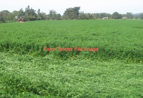 WANTED Lamb agistment  (Payment in advance)