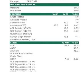 New Season Barley Hay 8x4x3 Bales
