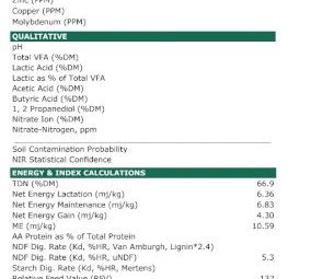New Season Barley Hay 8x4x3 Bales