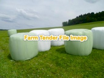 Oaten and Balansa Clover Silage