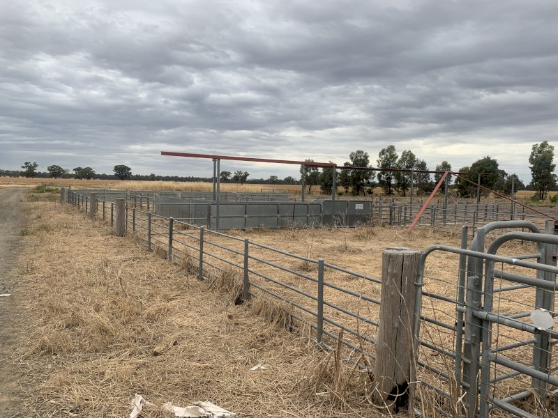 Sheep & Cattle Yards POA