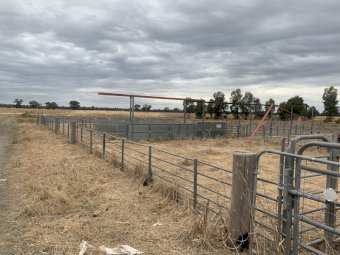 Sheep & Cattle Yards POA