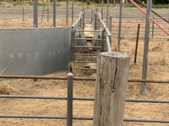 Sheep & Cattle Yards POA