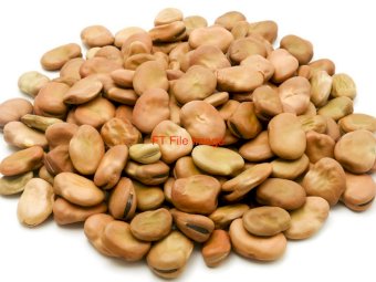 Faba Beans 1 B Double load