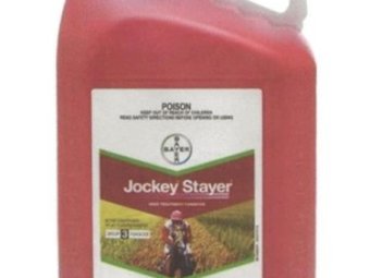 Jockey Stayer Chemical Fungicide